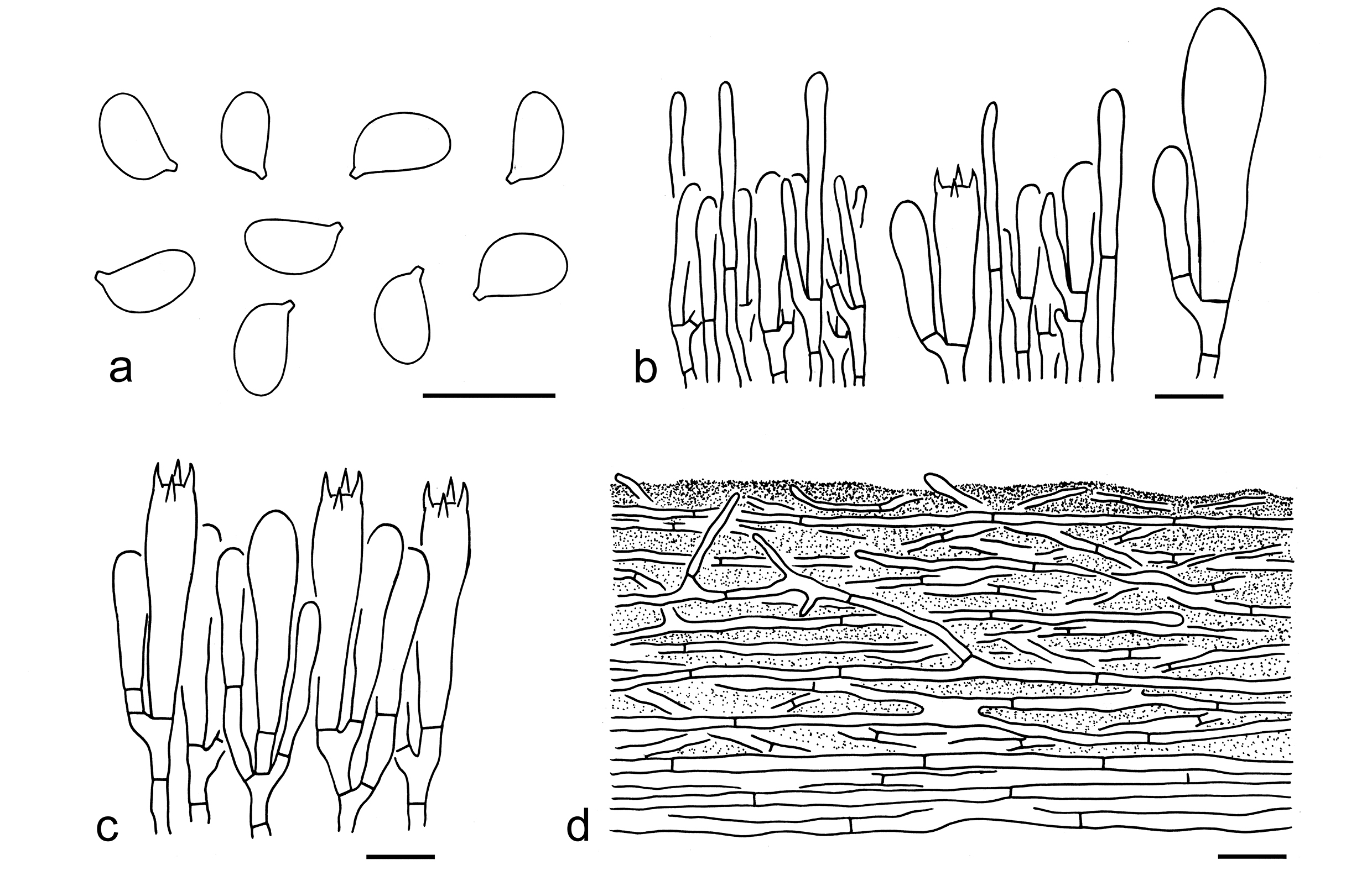 Figure 34